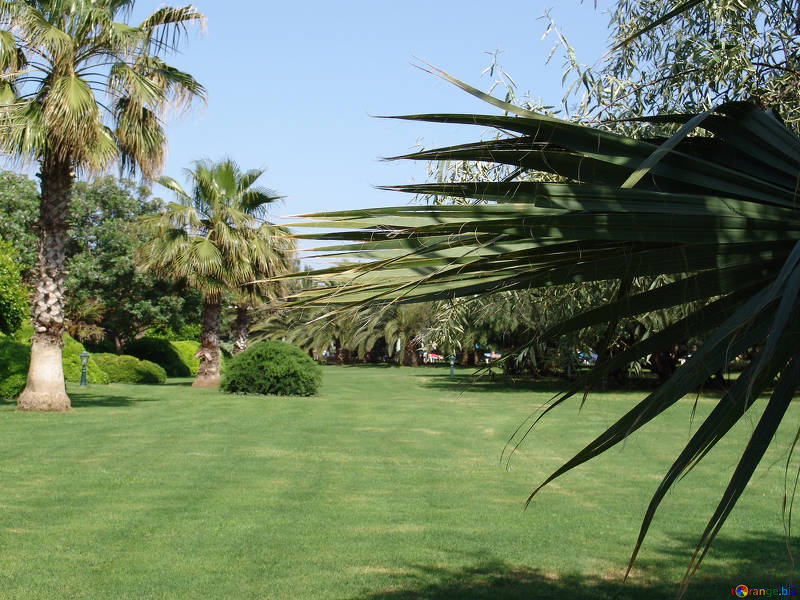 Read more about the article How to Improve Your Grass Lawn for Any Event